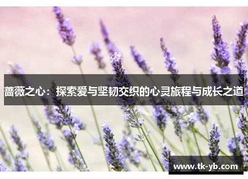 蔷薇之心:探索爱与坚韧交织的心灵旅程与成长之道 蔷薇之心:探索爱与坚韧交织的心灵旅程与成长之道